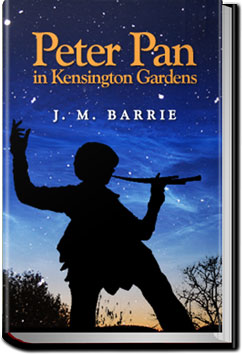 Peter Pan in Kensington Gardens by J. M. Barrie