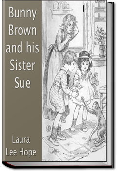 Bunny Brown and his Sister Sue by Laura Lee Hope