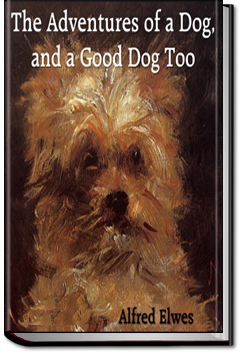 The Adventures of a Dog, and a Good Dog Too by Alfred Elwes