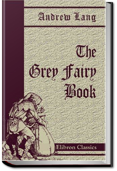 The Grey Fairy Book by Andrew Lang
