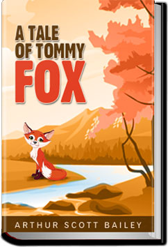 The Tale of Tommy Fox by Arthur Scott Bailey