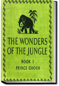 The Wonders of the Jungle - Book 1 by Sarath Kumar Ghosh