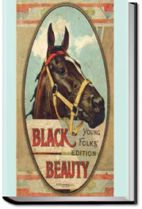Black Beauty, Young Folks' Edition by Anna Sewell