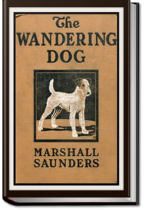 "Boy" The Wandering Dog by Marshall Saunders