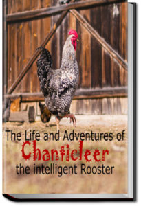 The Life and Adventures of Chanticleer