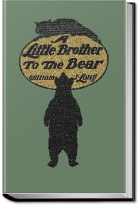 A Little Brother to the Bear and other Animal Stories by William J. Long