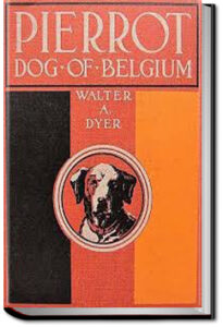 Pierrot - A Dog of Belgium by Walter Alden Dyer