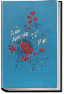 The blind brother by Homer Greene